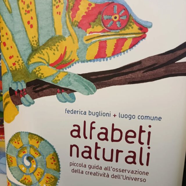 Tre bellissime proposte della collana PINO, per i futuri esploratori e studiosi degli animali. 

"Alfabeti naturali" 
di Federica Buglioni e Luogo comune

"Rimanere sul sentiero"
di Elisabetta Tosoni e Elisabetta Mitrovic

"Sei zampe"
di Geena Forrest

Edizioni Topi pittori

#piccoliesploratori #topipittori #collanapino