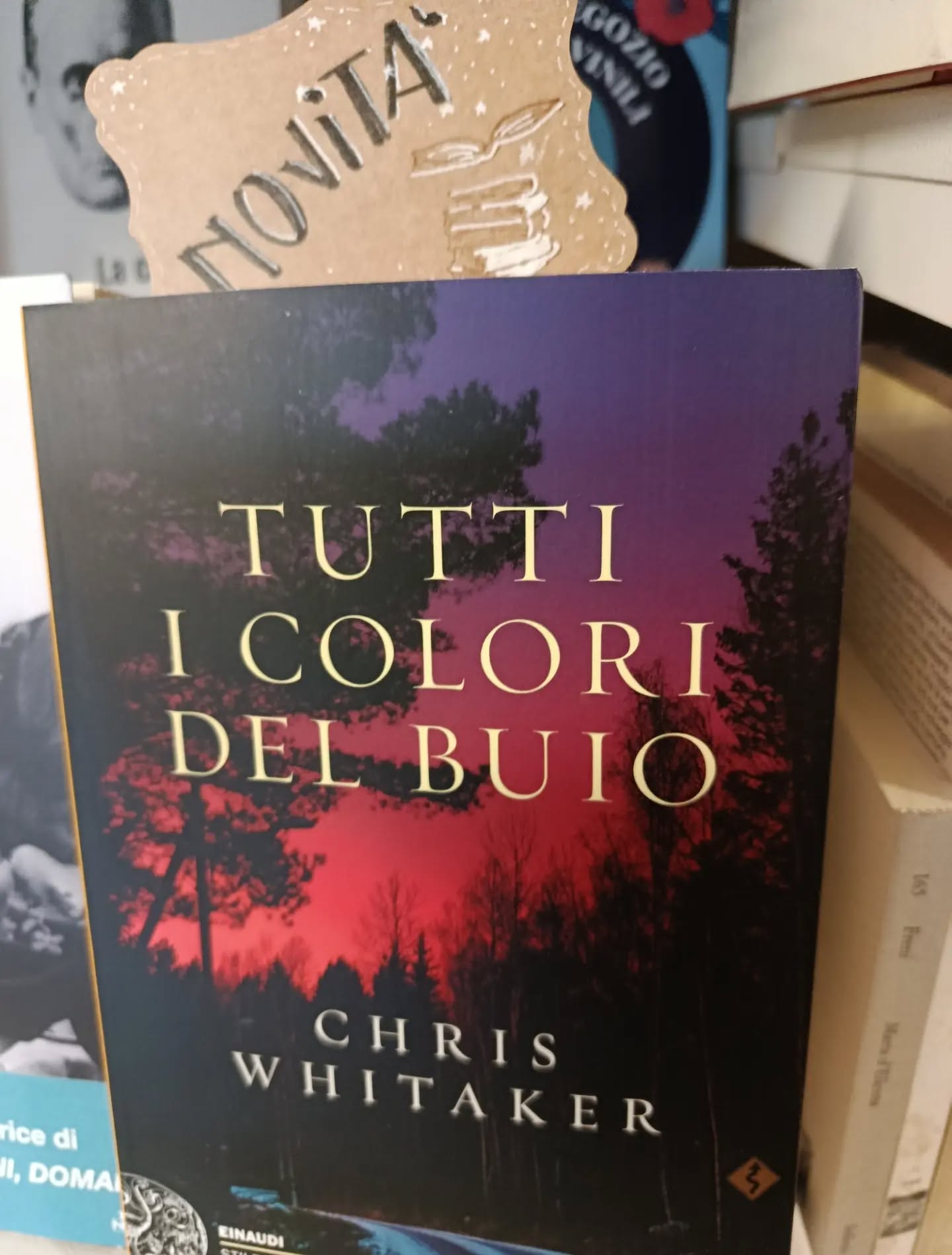"Tutti i colori del buio" 
di Chris Whitaker
Einaudi editore 

NOVITÀ 

Nel bosco di Monta Clare, Missouri, una mattina del 1975 un adolescente scompare. È l'inizio di un'epopea lunga trent'anni. La storia di un legame che nessun buio riuscirà a spegnere.

Quando il tredicenne Joseph «Patch» Macauley viene rapito, Saint Brown, la sua compagna di scorribande, è determinata a riportarlo a casa. Ma Patch rimane prigioniero in uno scantinato per quasi un anno. Solo una ragazza di nome Grace gli fa visita di tanto in tanto e parla con lui, nascosta dall'oscurità. Tornato libero, Patch è ossessionato dall'idea di ritrovarla, e di dare la caccia all'uomo che gli ha rovinato l'esistenza. Mentre i mesi si trasformano in anni e la speranza diventa disperazione, Saint, nell'ombra, lo segue e lo protegge nella sua ricerca. Anche se scoprire la verità può significare perdersi per sempre.

#chriswhitaker #tuttiicoloridelbuio #novità #einaudieditore