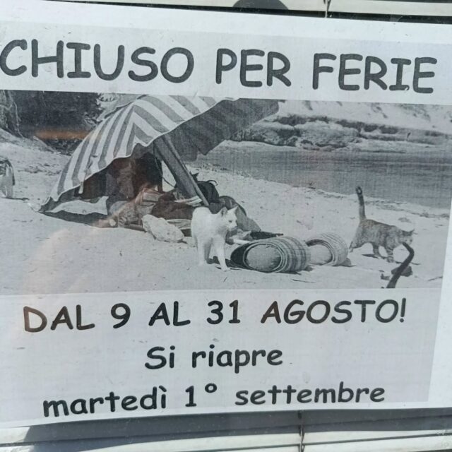 Chiusi per ferie. Riapertura Martedì 1 settembre.
Buone ferie librose a tutti!!

📚

#ferie #buonaestate #cirivediamoasettembre❤️