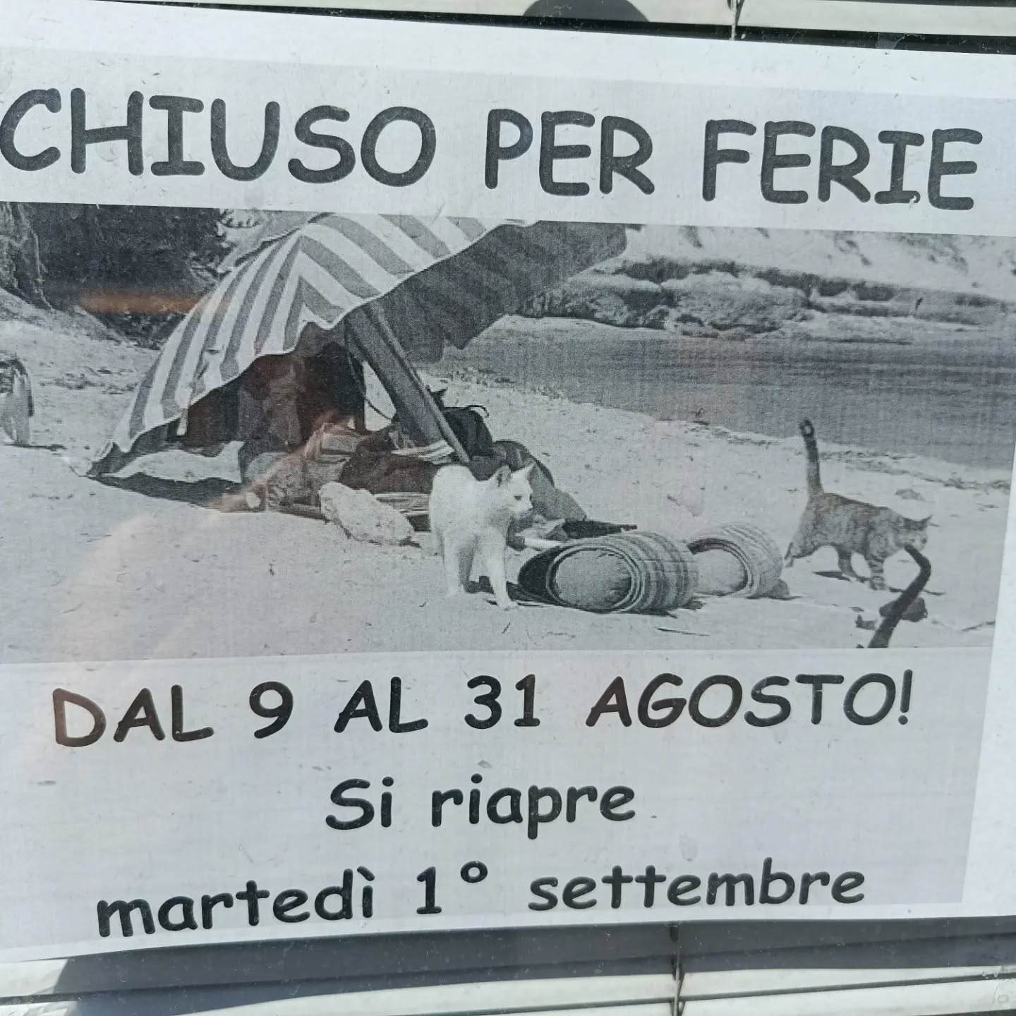 Chiusi per ferie. Riapertura Martedì 1 settembre.
Buone ferie librose a tutti!!

📚

#ferie #buonaestate #cirivediamoasettembre❤️